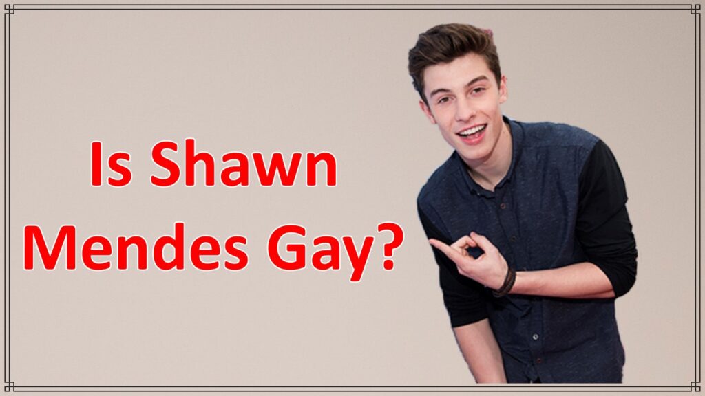 Is Shawn Mendes Gay